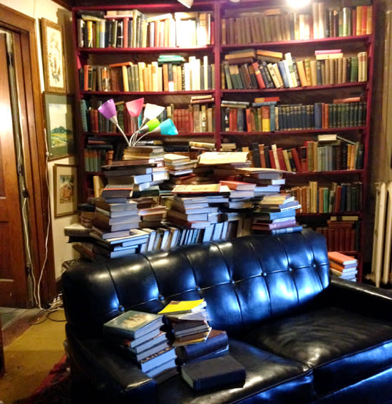 toad hall books