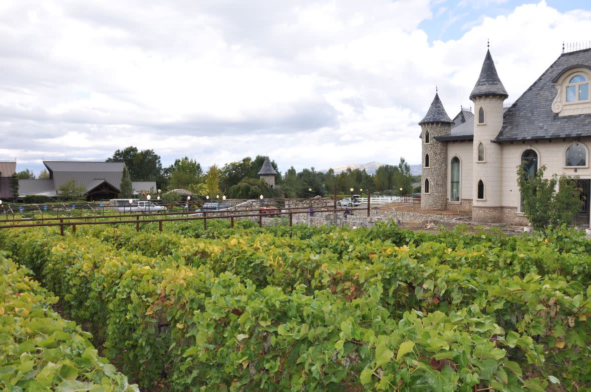 Wadley Farms Vineyard