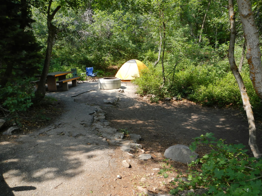 Mount Timpanogos Campground