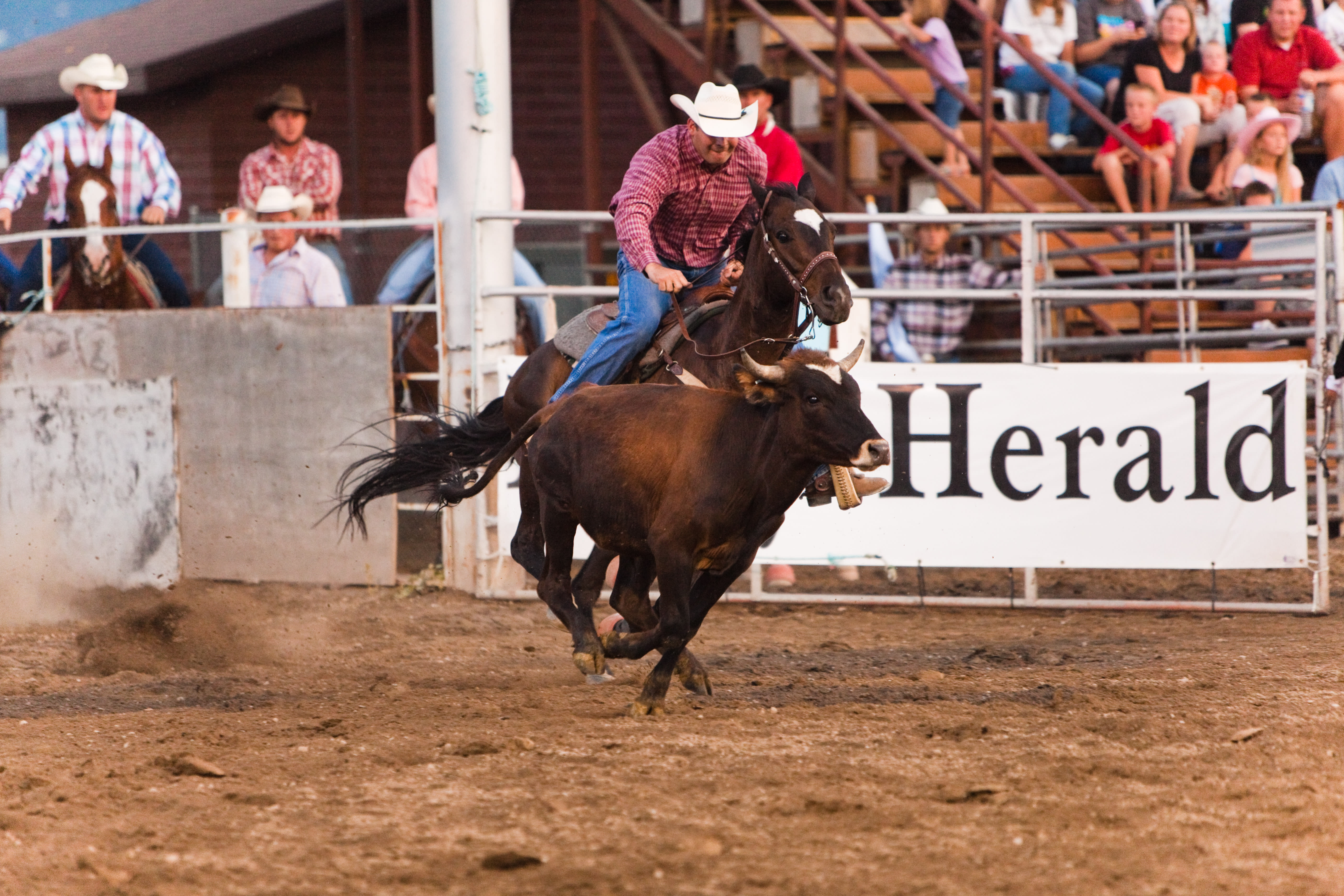 Rodeo