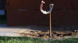 A horseshoe is about to land