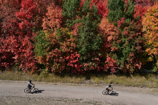 Fall