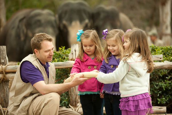 Zoo Zoo