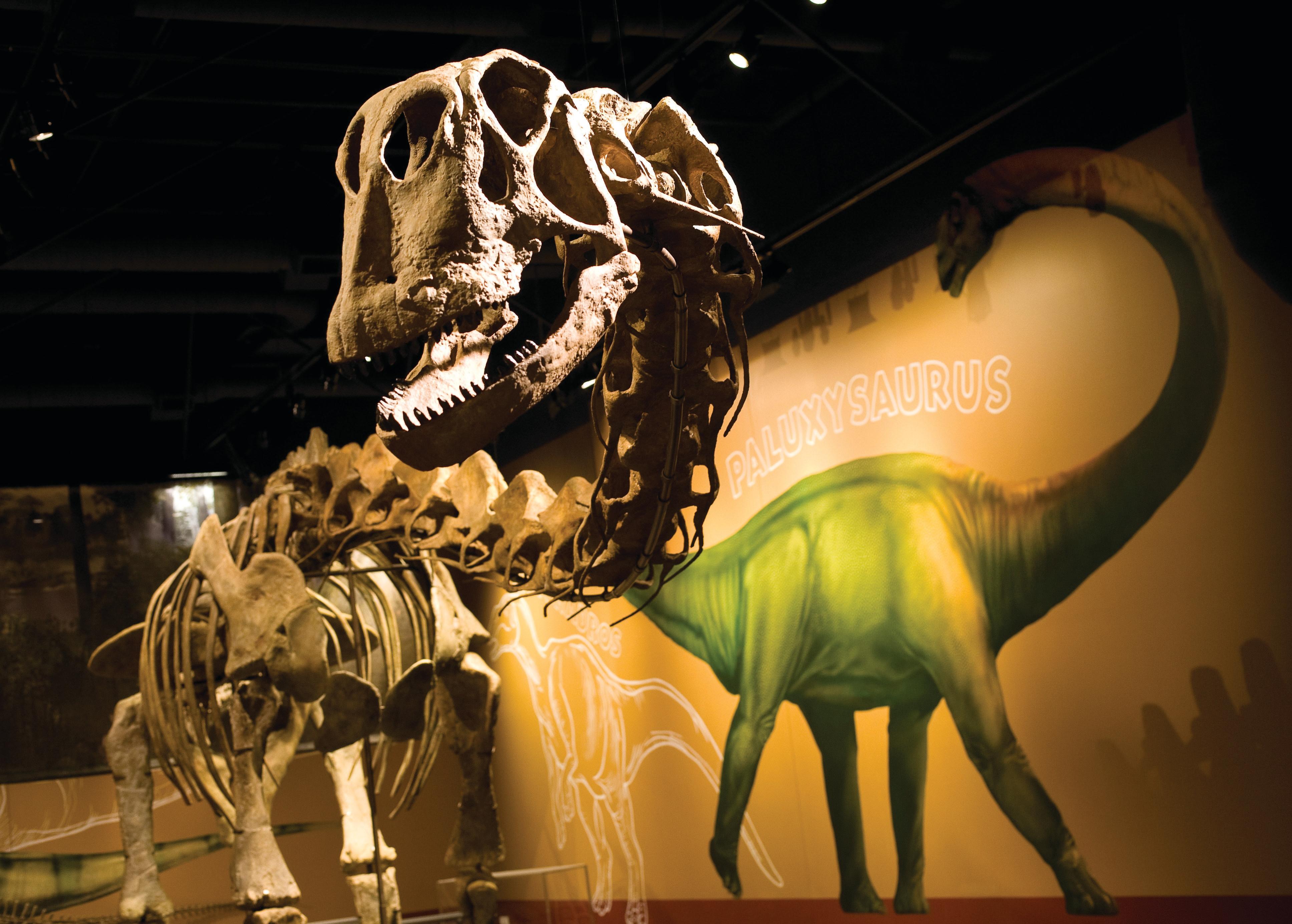 Fort Worth Museum of Science and History Fort Worth Museum of Science and History