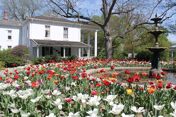 Tulip Time at Old Prairie Town Tulip Time at Old Prairie Town