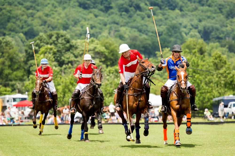 Photo Credit: King Family Vineyards Polo Match