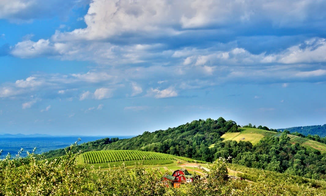 Photo Credit: Stacy Knighton Carter Mountain Orchard