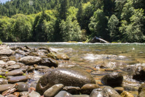 Rocks in the River
