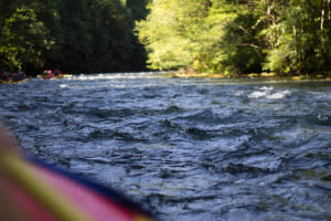 Upper McK Water