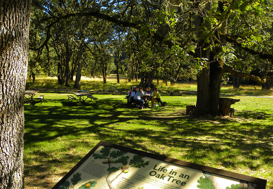Mount Pisgah Arboretum 