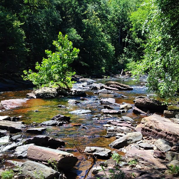 Posts in Tohickon Valley Park | From the Locals