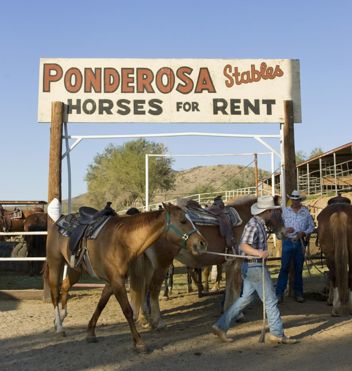 ponderosa stables