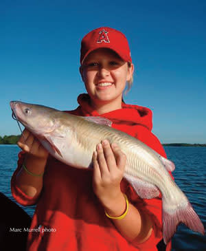 Blog-catfish