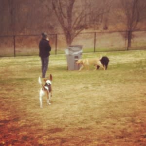 ruff range dog park friso