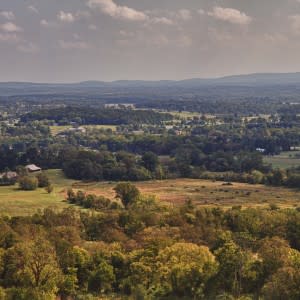 Bluemont Vineyards