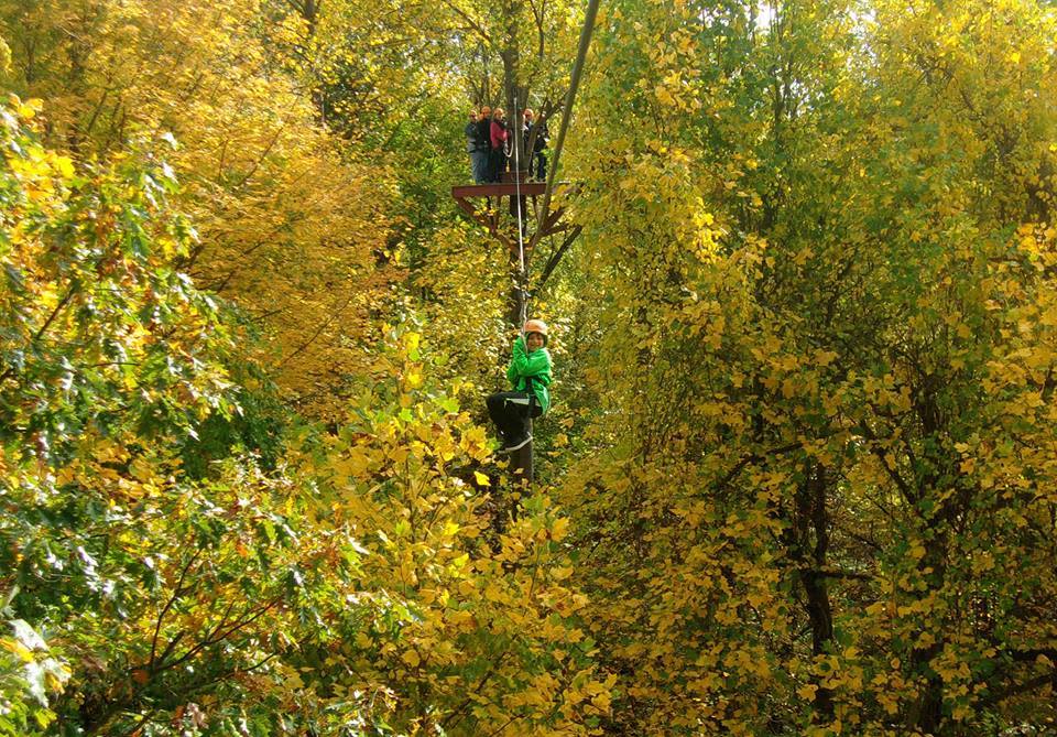 fall