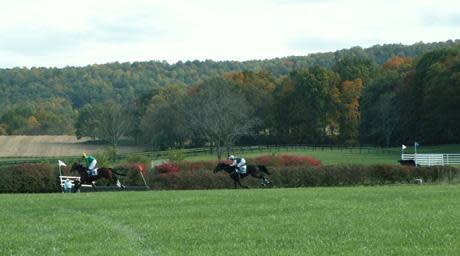 gold cup