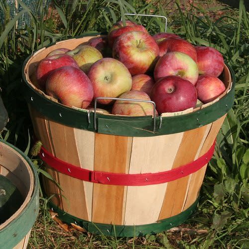 crooked run orchard