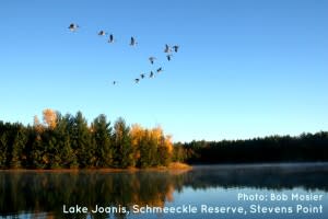 Geese over Lake Joanis by Bob Mosier