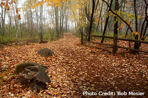 Fall trail in Stevens Point Area