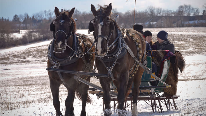 Sleigh Rides at Northern Star Farm are an ideal way to experience Montgomery County after a snowfall. Sleigh Rides at Northern Star Farm are an ideal way to experience Montgomery County after a snowfall.
