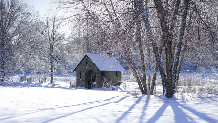 Enjoy the outdoors at Morris Arboretum with their Saturday Winter Wellness Walks.