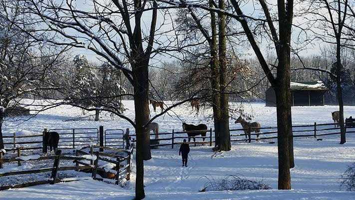 Red Buffalo Ranch offers horseback rides through Evansburg State Park year-round. Red Buffalo Ranch offers horseback rides through Evansburg State Park year-round.