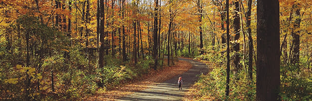 Cool Creek Park
