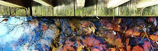 Flowing Well Park
