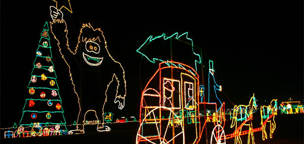 Reynolds Light Display
