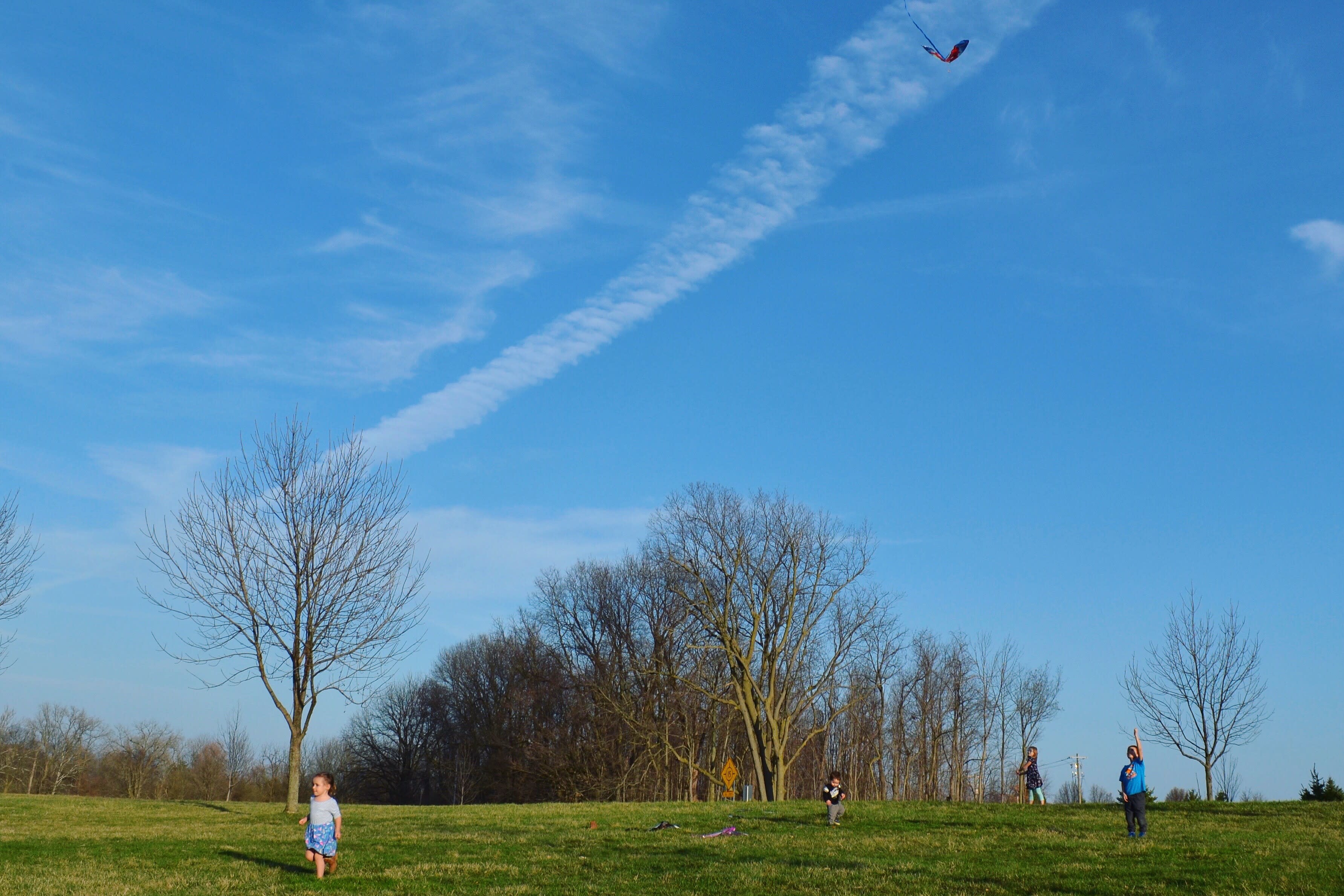 Kid in park