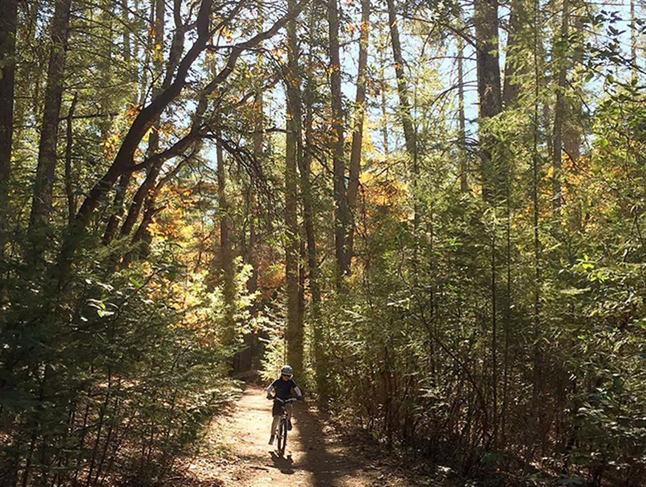 Las Posadas State Forest