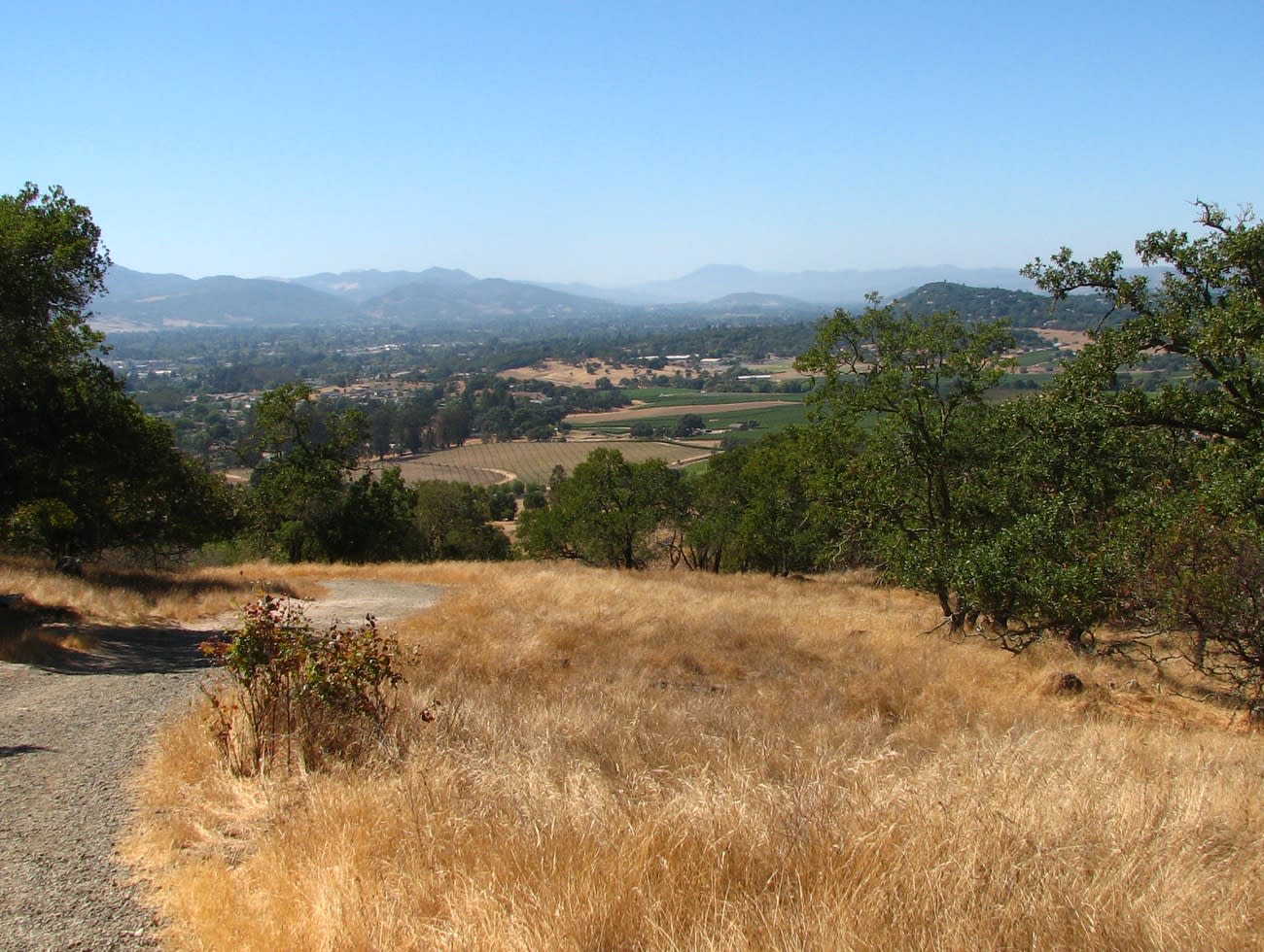 Biking Napa Valley Hills