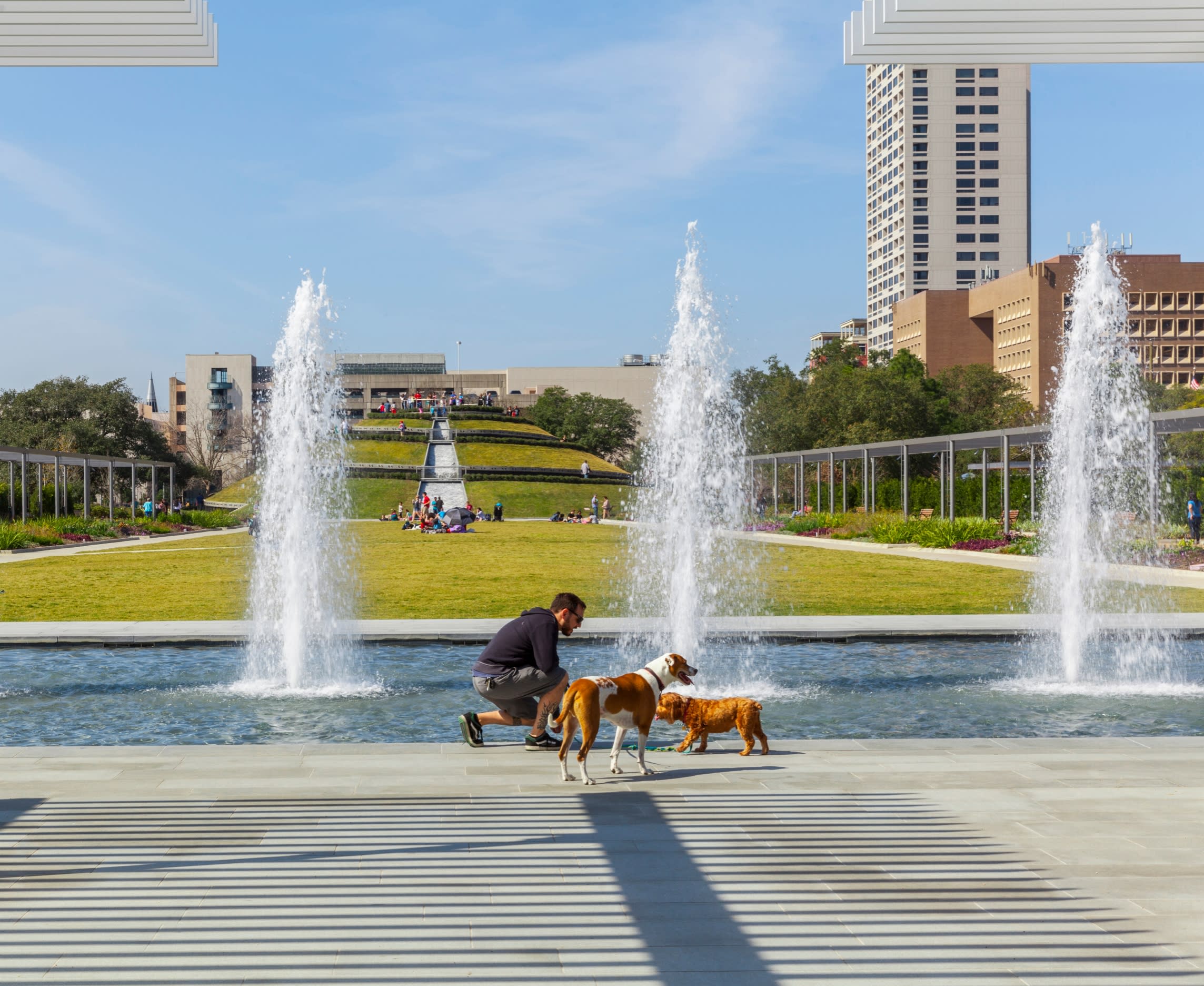 Man and dogs McGovern Centennial Gardens in Houston