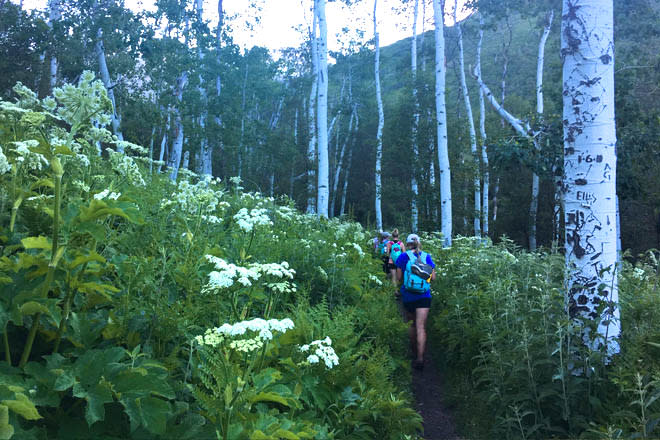 Challenging Hikes in Utah Valley - Great Western Trail