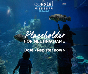 MS Aquarium - Banner Ad 300x250