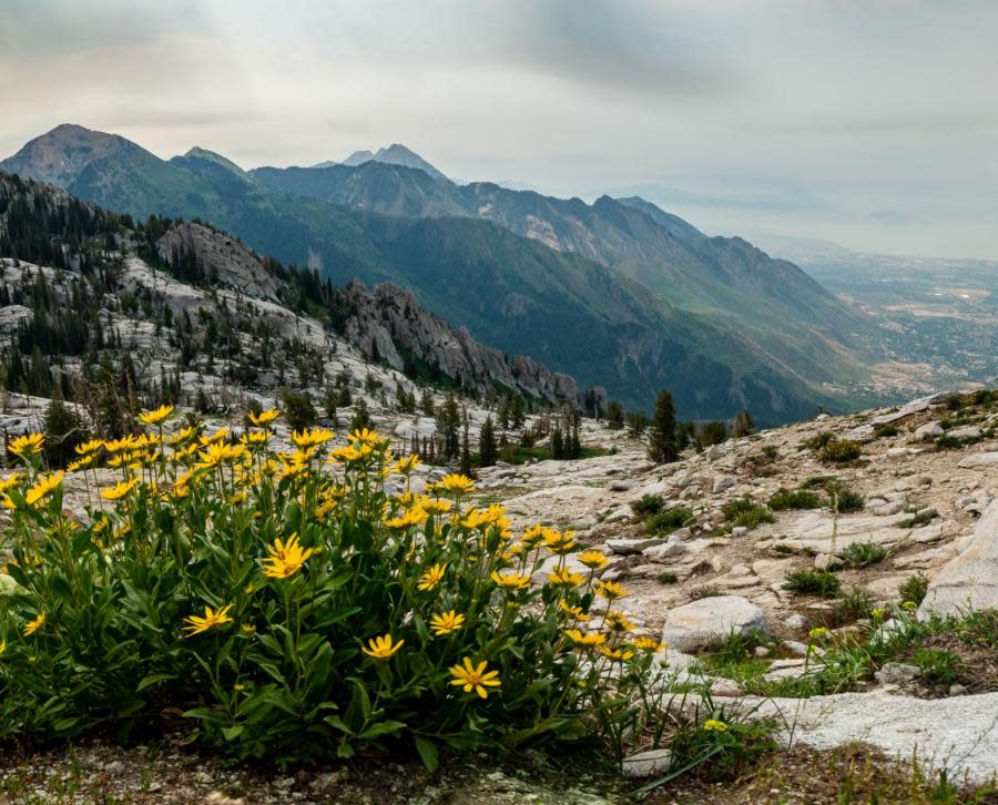 Lake Hardy Trail Views in Utah Valley