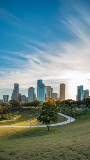 View of the Houston skyline from a park