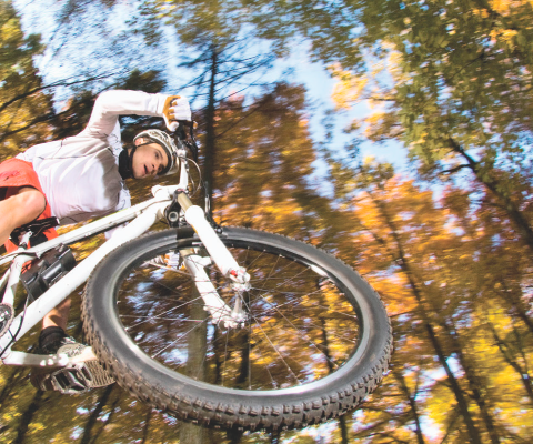 Bike Trails