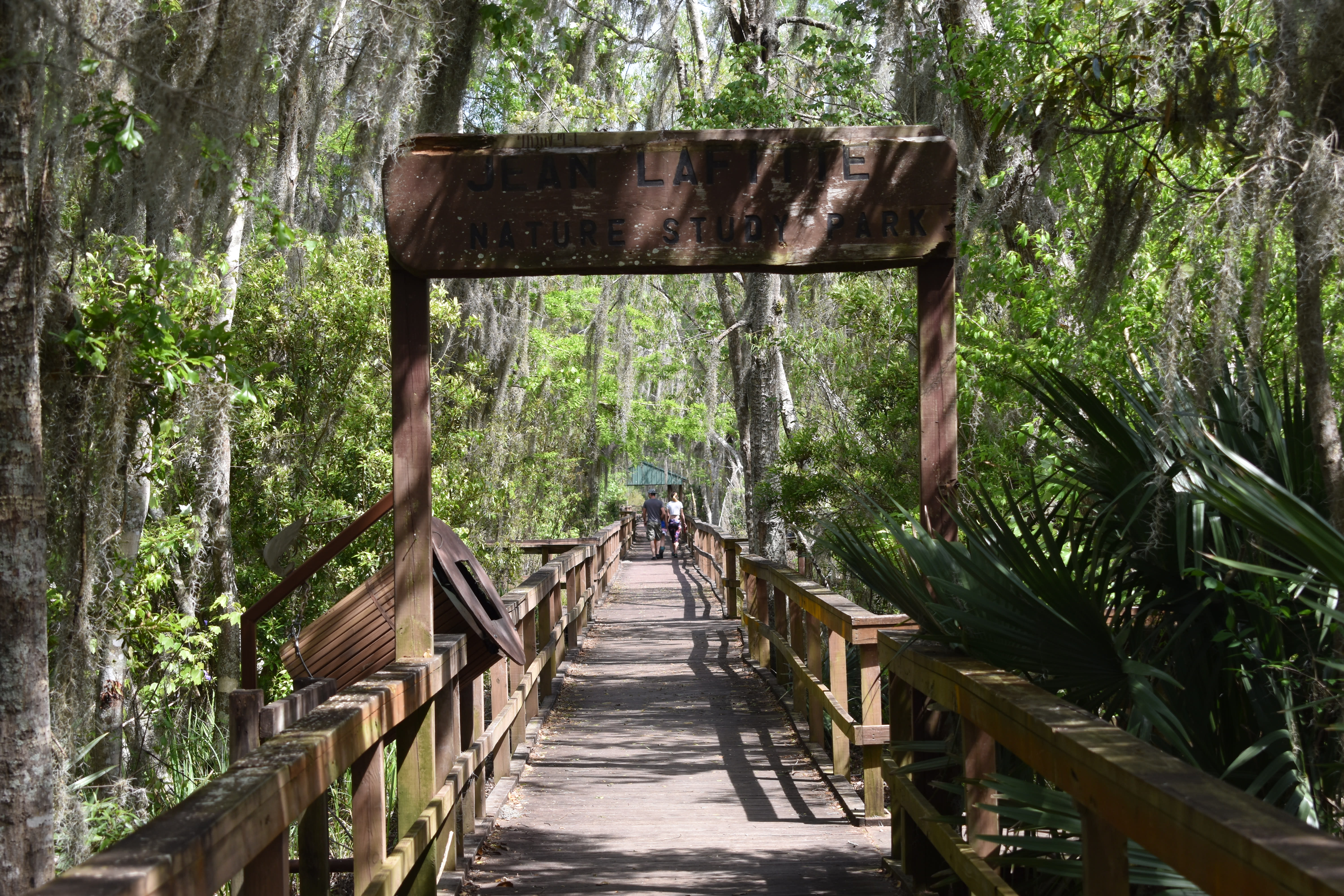 Wetland Trace