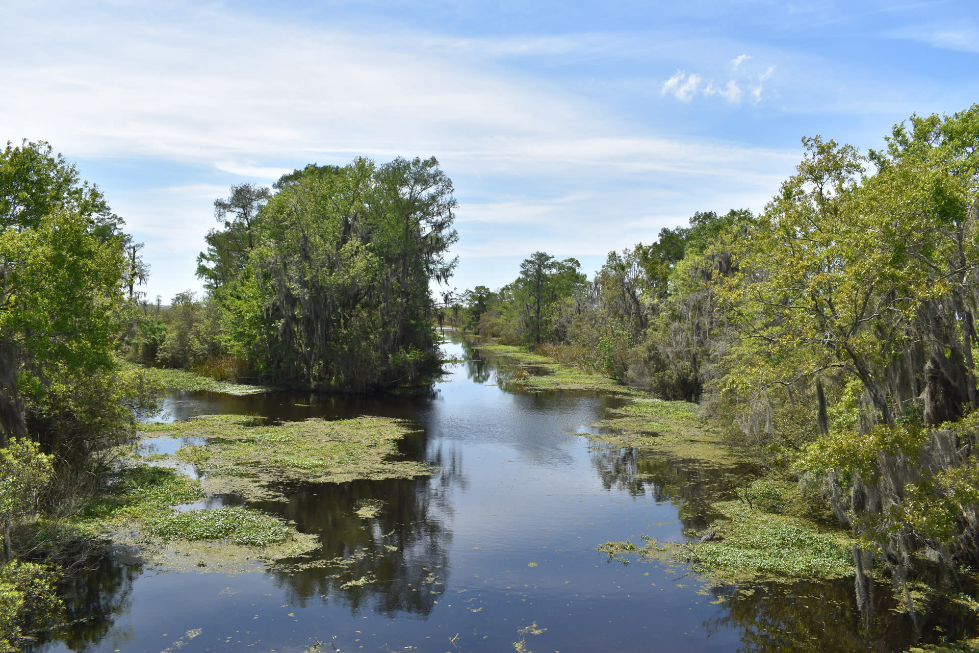 barataria preserve boat tours