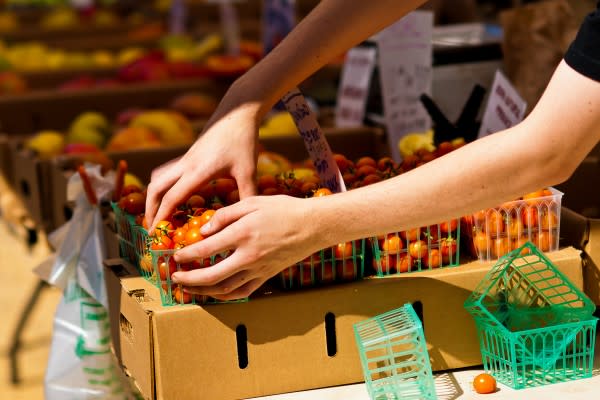 Farmer's Markets in Temescal and Jack London Square are markets for foodies of all ages, from infants to millennials.