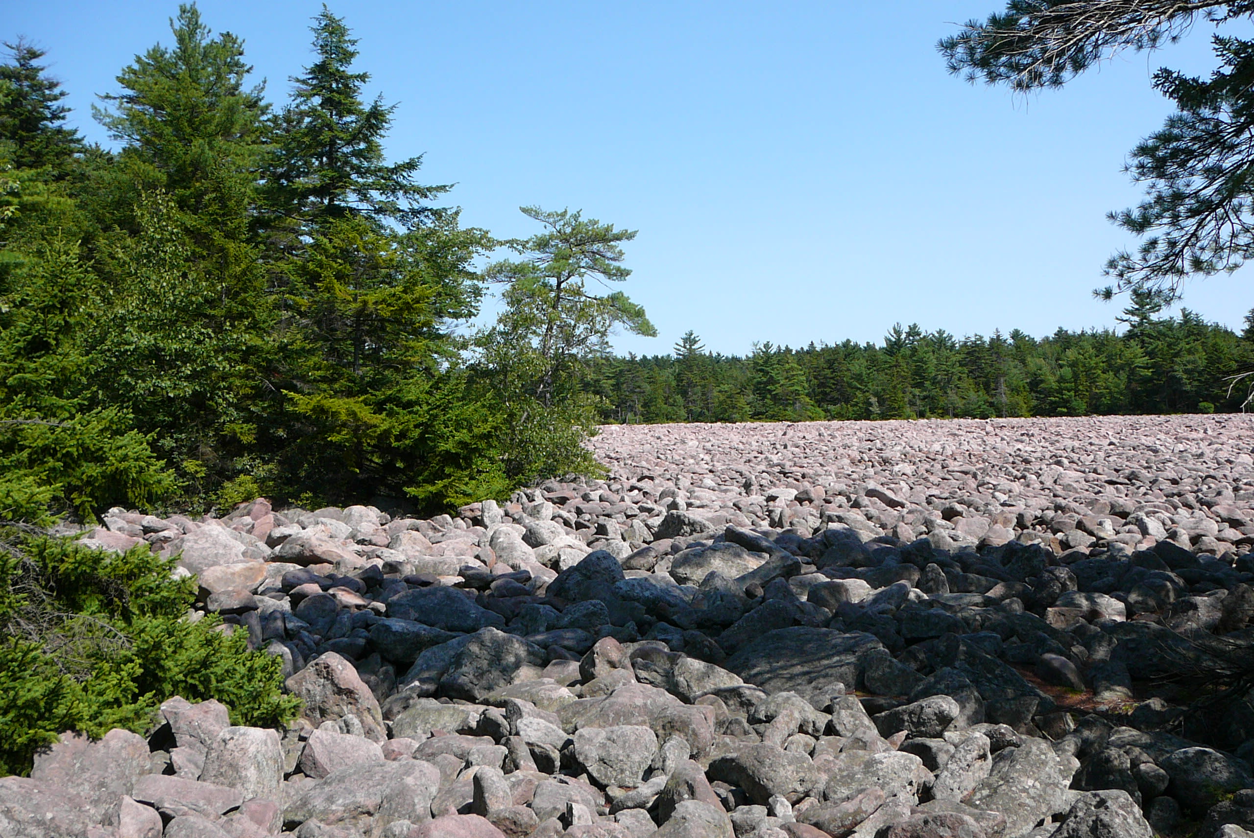 Scenic Boulder Field at Hickory Run State Park
