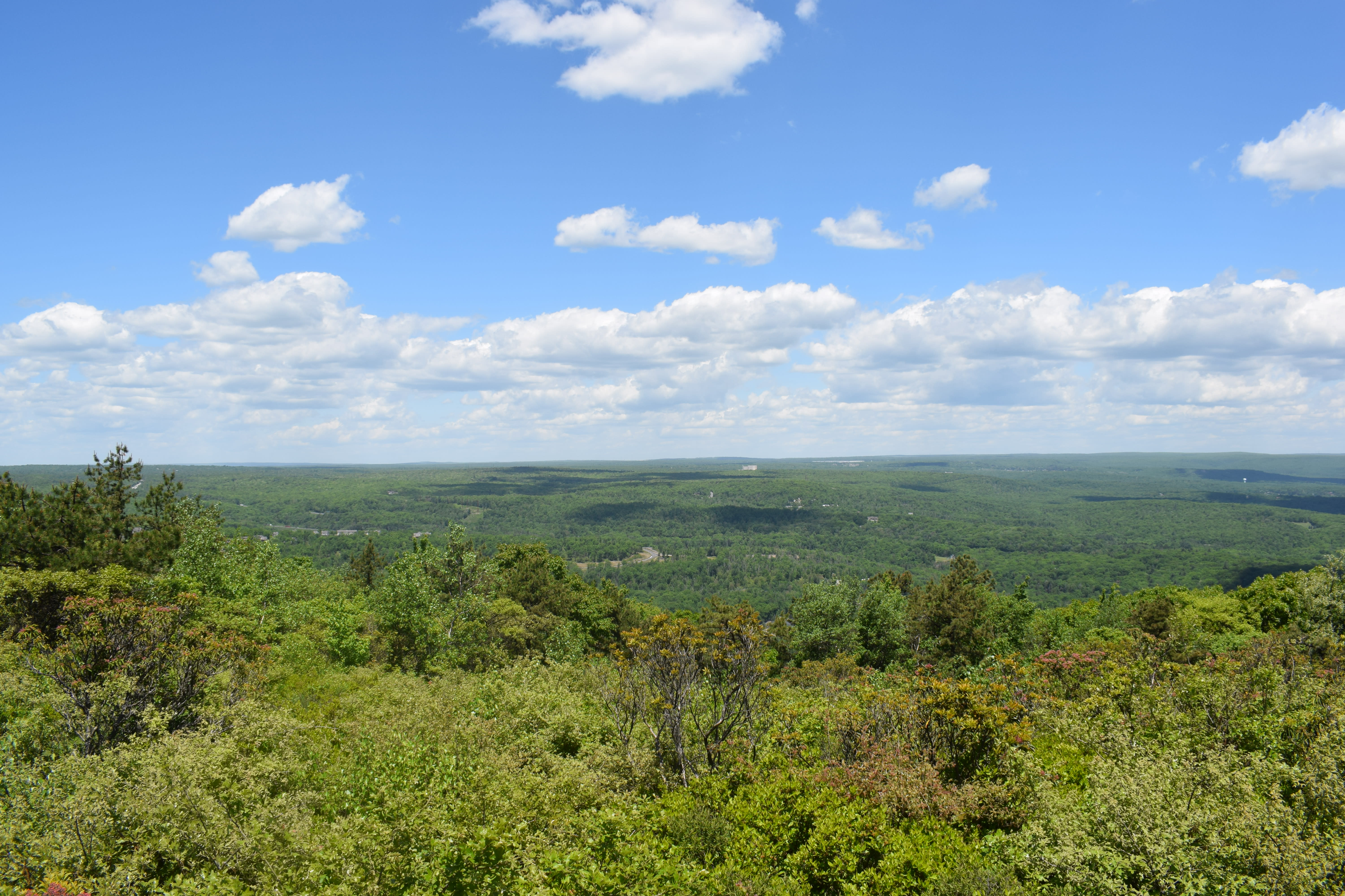 Scenic View Big Pocono State Park