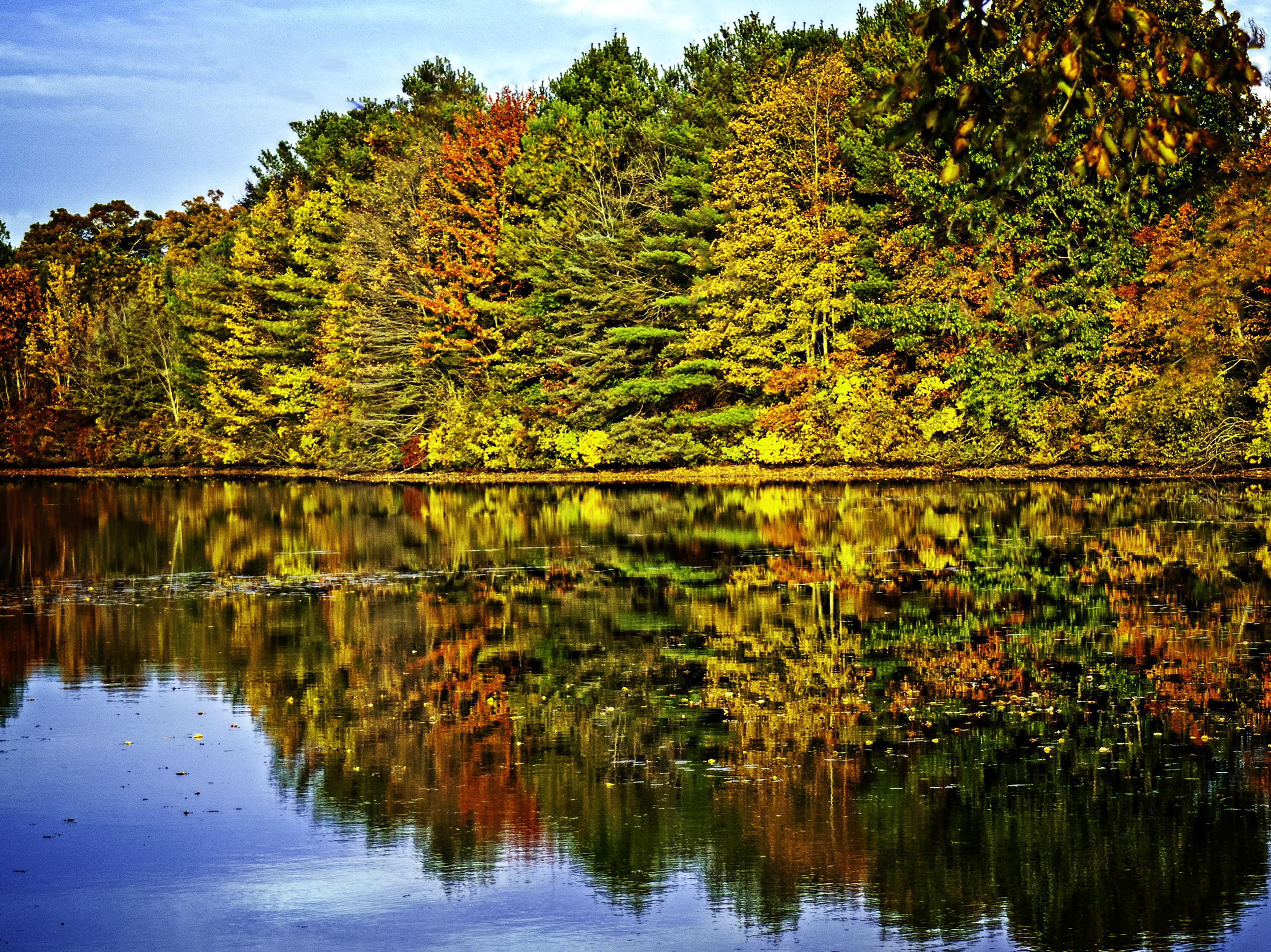Fall in South County