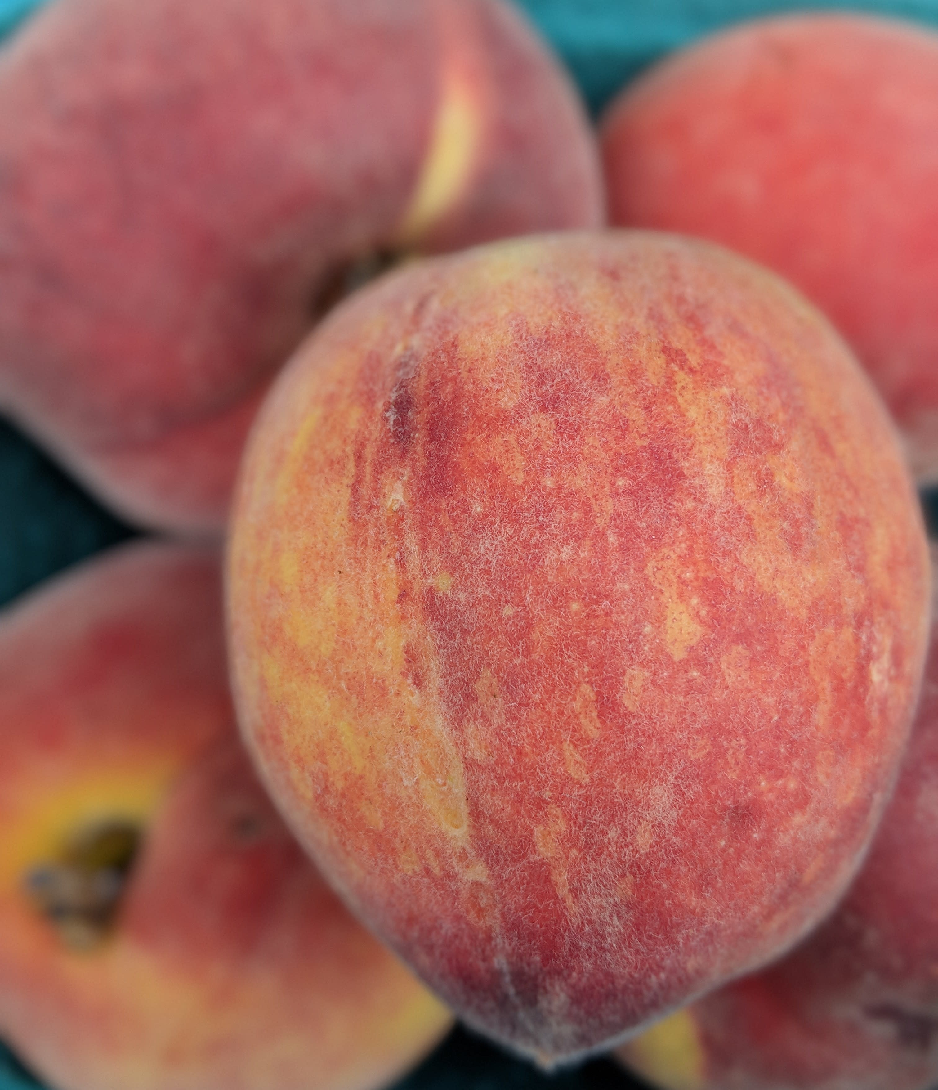 Peaches in Clarksville Downtown Market