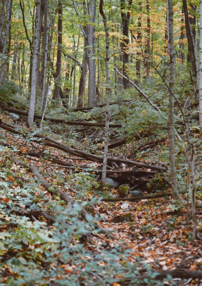 5 Best Hiking Trails in Dayton, OH