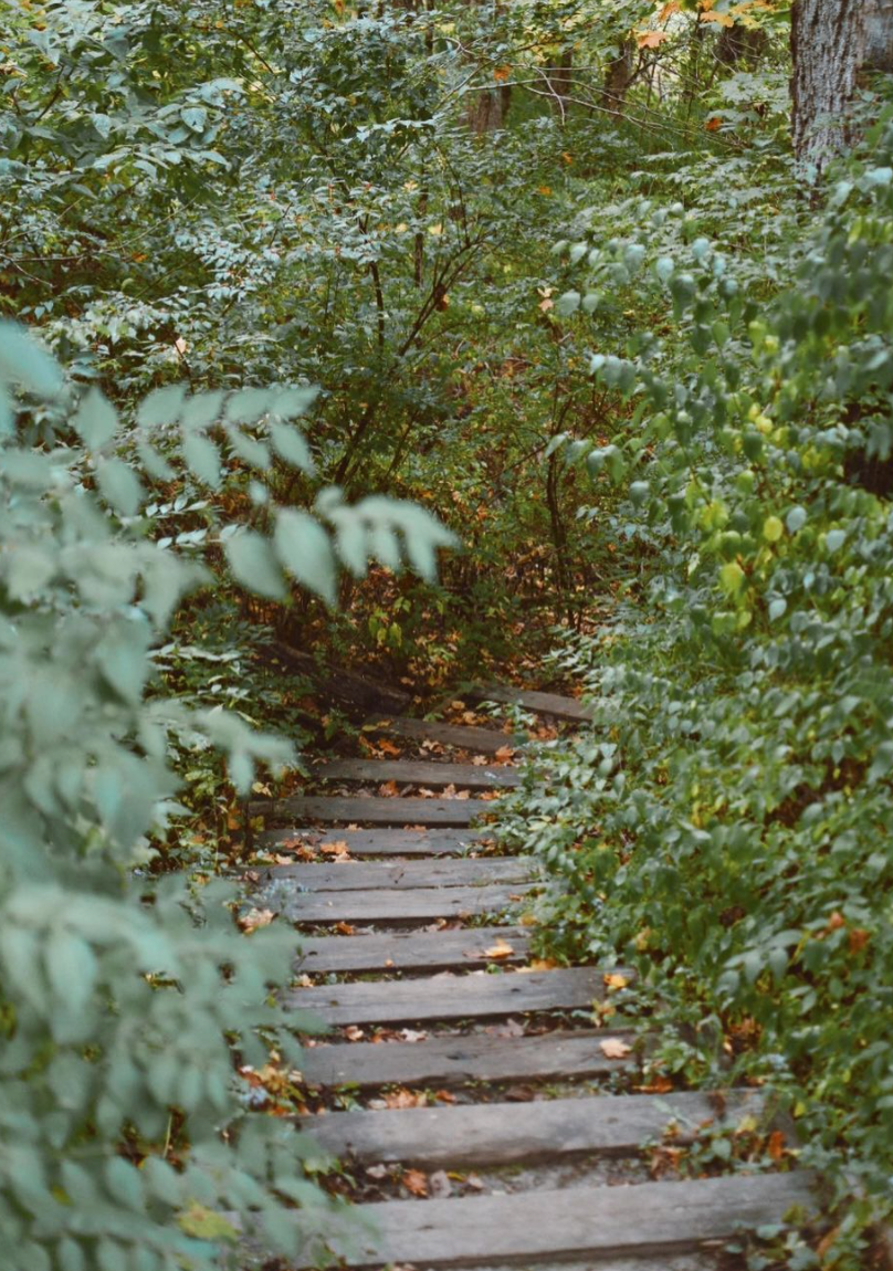 5 Best Hiking Trails in Dayton, OH