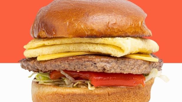 Vegetarian burger close-up shot