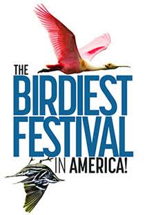 bird-festival